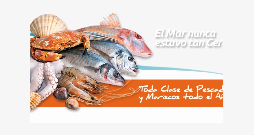 México, El Mayor Consumidor De Pescados Y Mariscos - Seafood Frozen, transparent png download