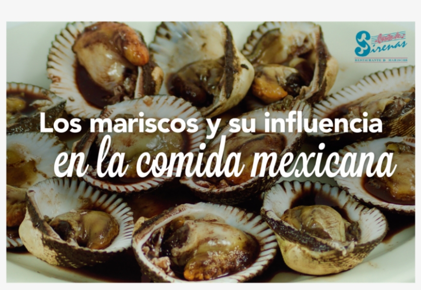 ¿cómo Se Han Posicionado Los Mariscos En La Gastronomía - Chocolate, transparent png download