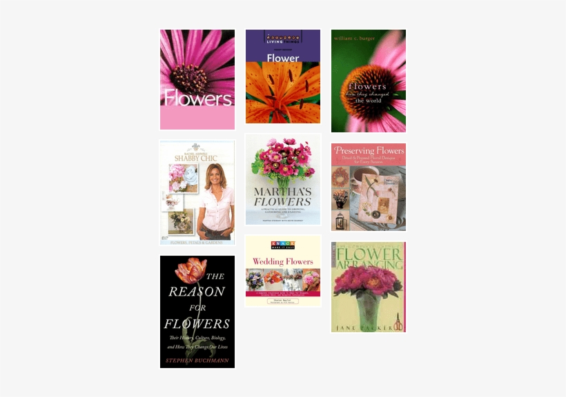 May Flowers - Shabby Chic:flowers Petals & Gardens - (region, transparent png download