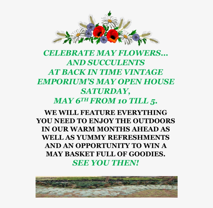 Bit Celebrate May Flowers Back In Time - Color Me Relaxed Mandala Designs: Unique Mandala Designs, transparent png download