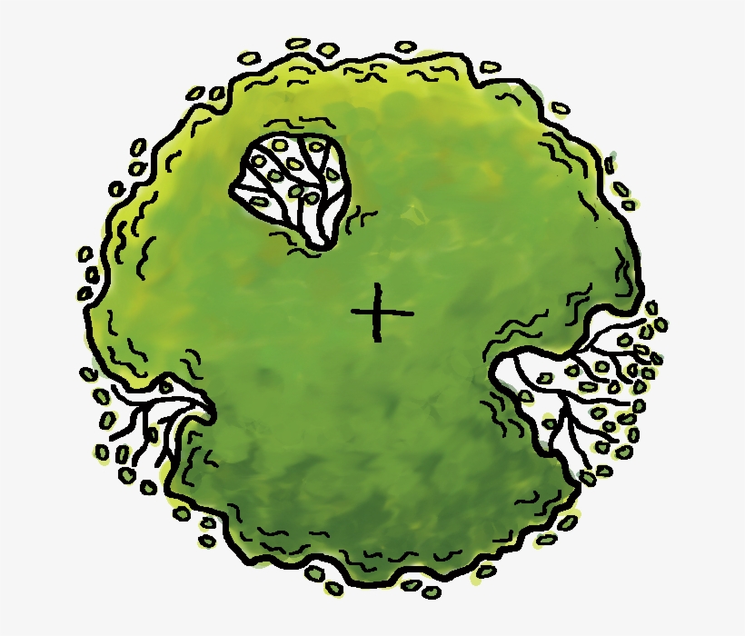 Alysse Kirkman - Homework, transparent png download