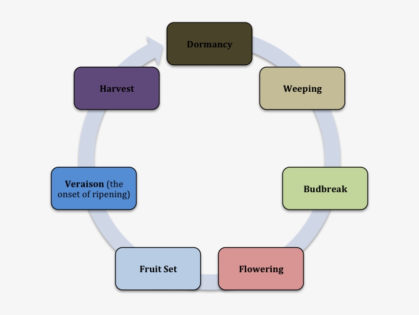 Weeping, As Griff So Eloquently Explained To Me, Is - Diagram, transparent png download