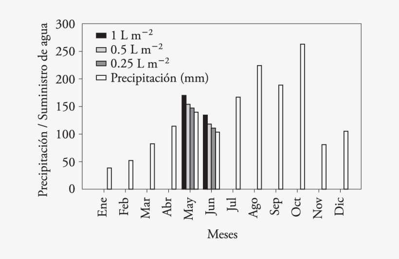 Precipitación Promedio Registrada En La Región De Estudio - Number, transparent png download