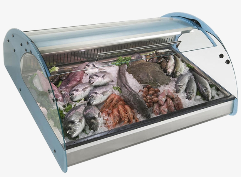 Vitrina Expositora Pescado Pequena - Fish Vitrine, transparent png download