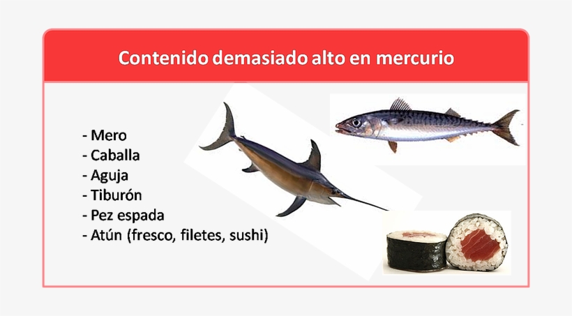 Comer Pescado Con Mucho Mercurio Aumenta Riesgo De - Peces Con Alto Contenido De Mercurio, transparent png download
