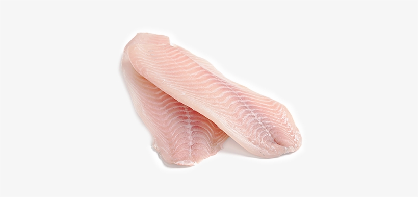 Alimentos Con Un Increíble Valor Proteico - Fillet Fish, transparent png download