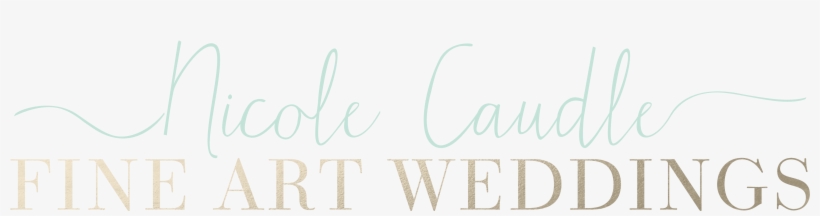 Nicole Caudle Fine Art Film Photographer - Simian Mobile Disco Delicacies, transparent png download