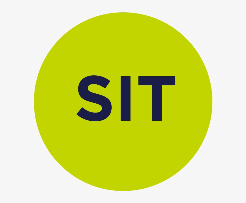 Icon-sit - Dribbble, transparent png download