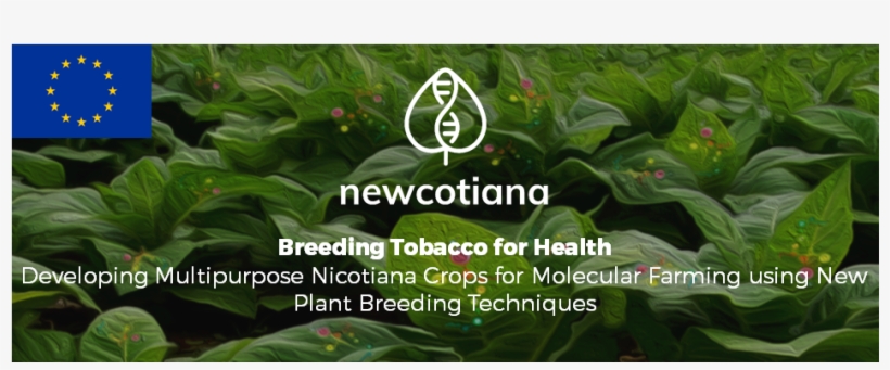 Biofaction Will Contribute To The Project By Taking - Tobacco, transparent png download