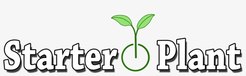 Starter Plant, transparent png download