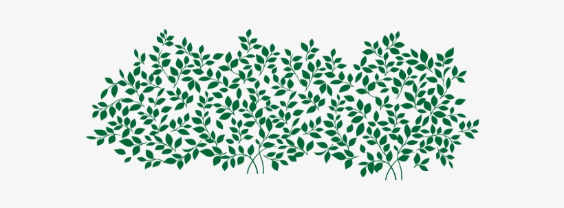 16 Ft, transparent png download