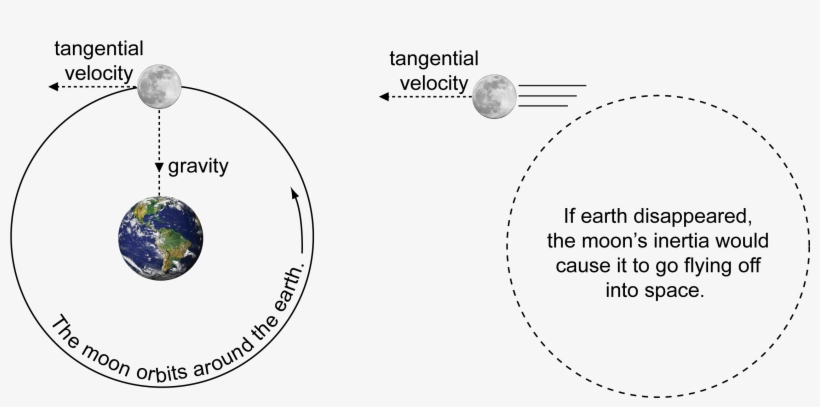 I Included A Picture That Shows What Would Happen - Moon Without Earth Gravitational Pull, transparent png download