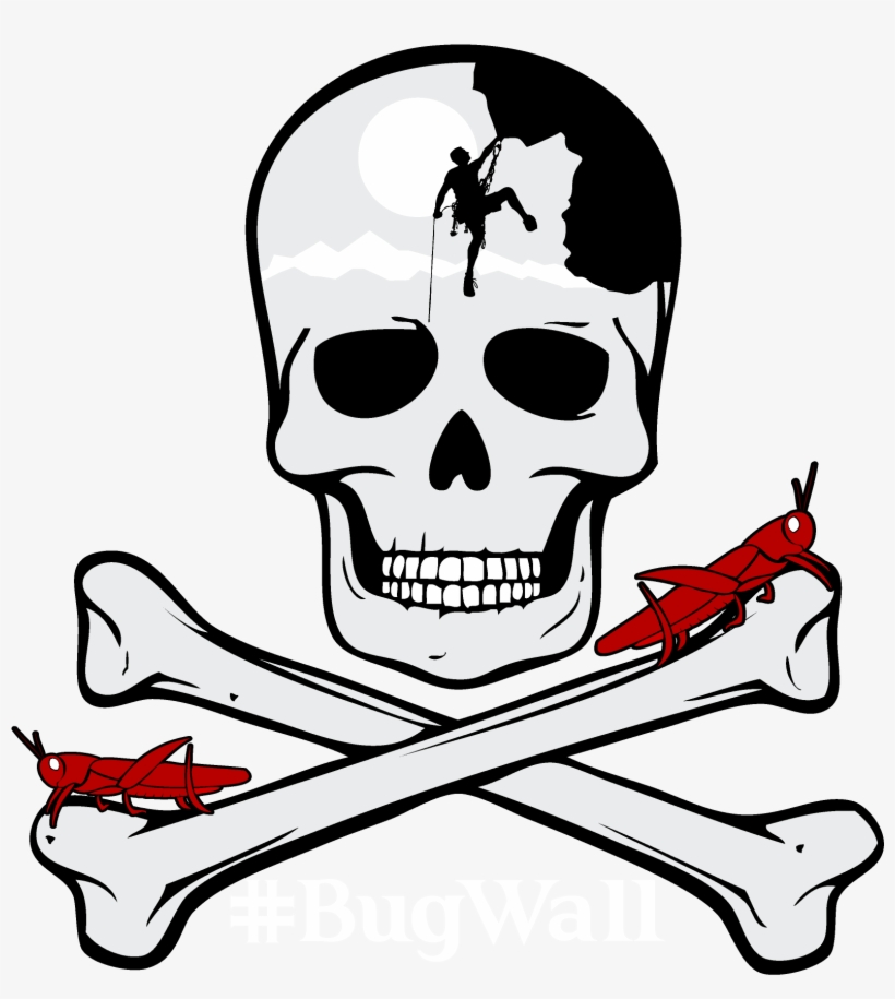 After Living On The Wall For One Week With No Physical - Pirate Bones, transparent png download