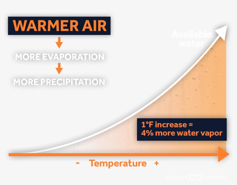 Jpg • Png - Paper, transparent png download