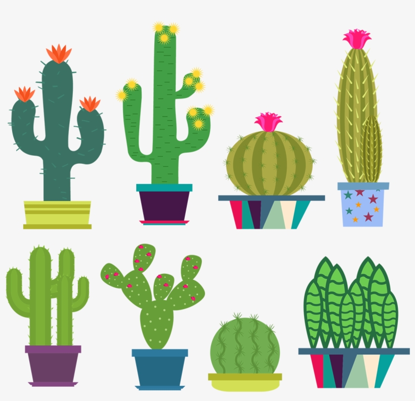Sticker Cactus Fleuris Ambiance Sticker Col Raja A013, transparent png download