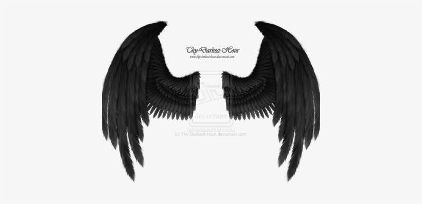 Photo Photo Photo Photo Photo - Black Raven Wings Png, transparent png download