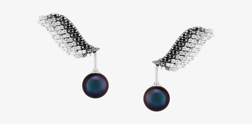 Brinco Cisne Negro Com Módulo Versátil De Pérola Negra - Earring, transparent png download
