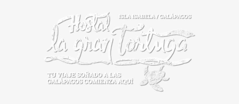 Hostal La Gran Tortuga, transparent png download