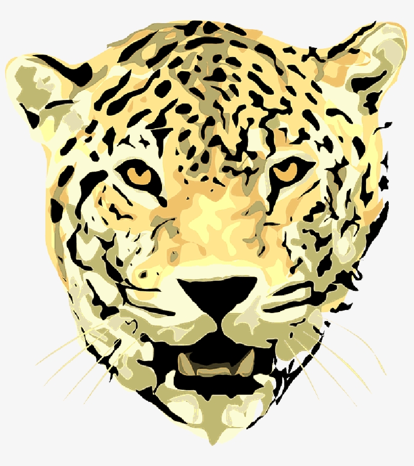 Scary Lion Pictures - Jaguar Face Vector Transparent PNG - 800x843