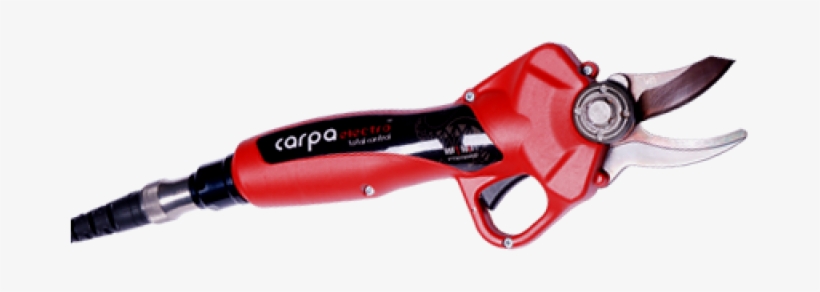 Tesoura De Podar Carpa Electro Lítio - Scissors, transparent png download