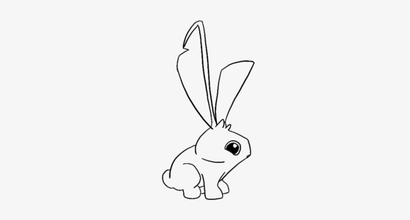 Bunnyy - Domestic Rabbit, transparent png download