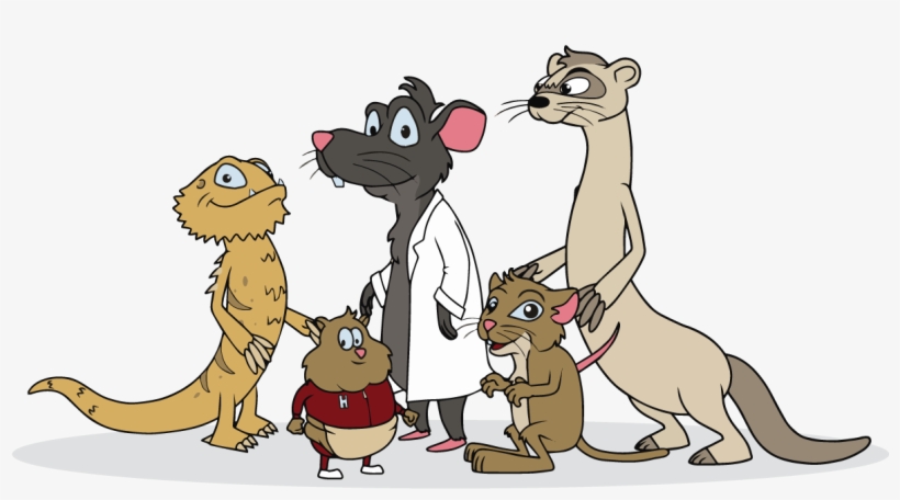 Watch A Cartoon - Cartoon, transparent png download