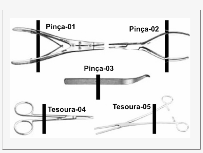 Ilustração Das Ferramentas Cirúrgicas Utilizadas Nesse - Catalogo De Pinças Cirurgicas, transparent png download