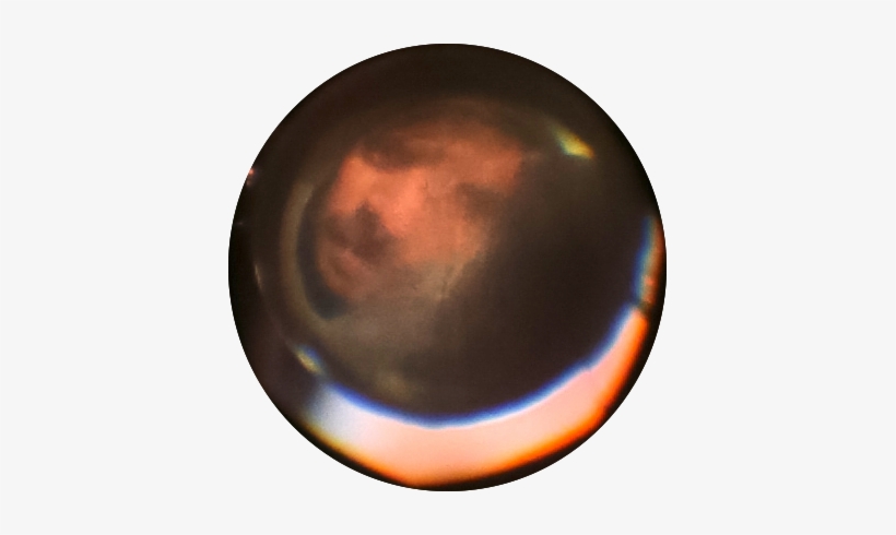 Animal Eye Camera, transparent png download