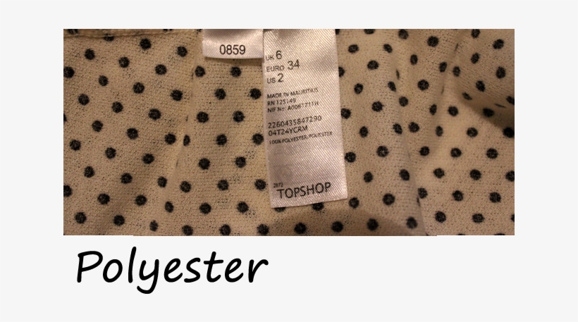 Polyester Has A Bit Of A Bad Reputation, But Current - Fourth Sanderson Sister Tee, transparent png download