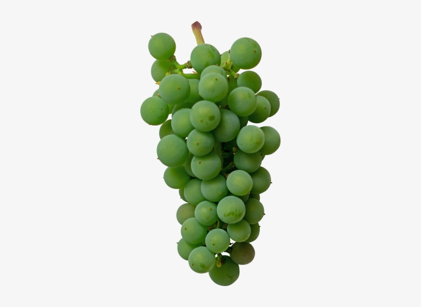 Green Grape - Grape, transparent png download