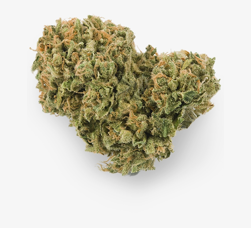 Kenton 3999 Strawberrycough Web V2 - Non-vascular Land Plant, transparent png download