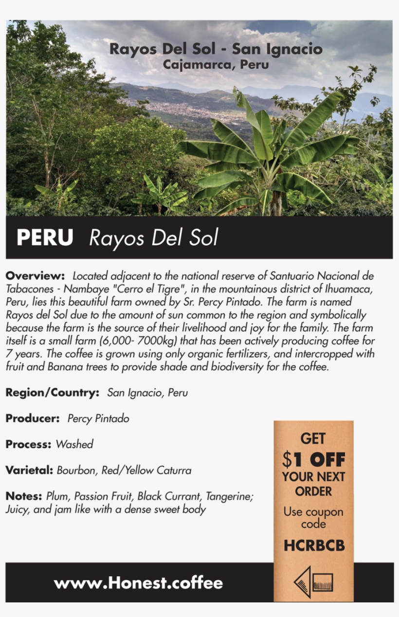 Peru Rayos Del Sol - Attalea Speciosa, transparent png download