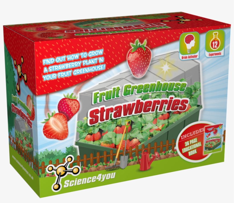 Strawberries Greenhouse Educational Kit Content, transparent png download
