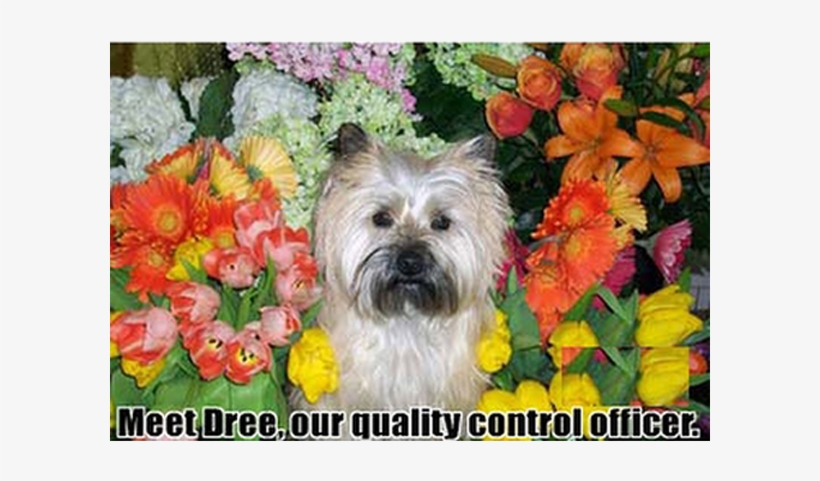 Village Flowers, transparent png download