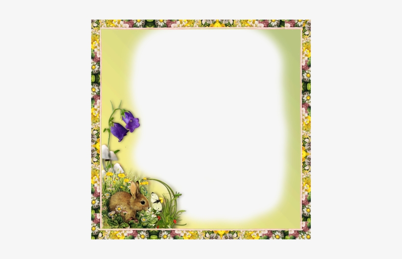 Memories Of Summer With A Pretty Photo Frame - Picture Frame, transparent png download