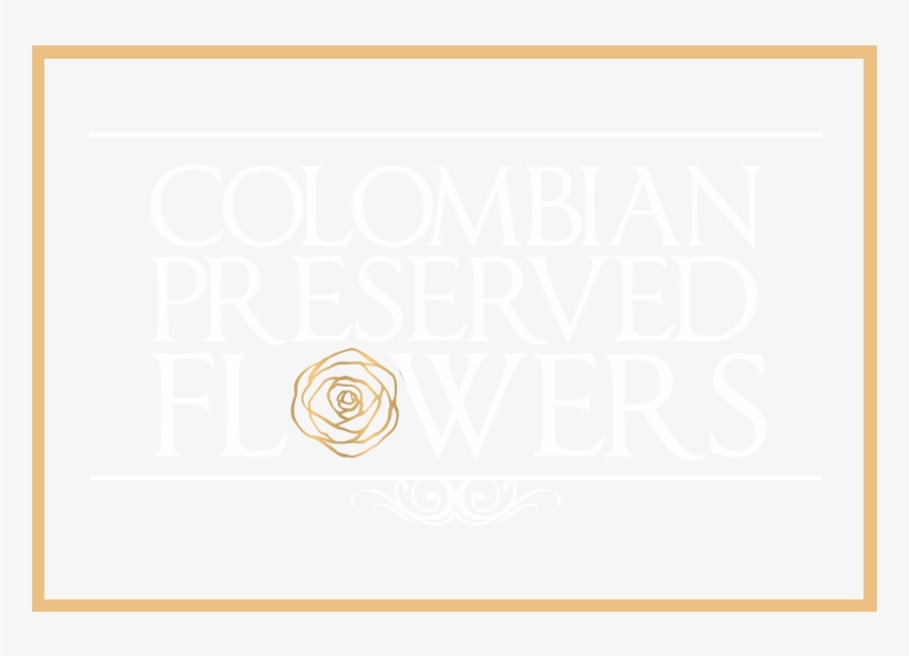 Colombian Preserved Flowers - Schroedinger's Universe And The Origin Of The Natural, transparent png download