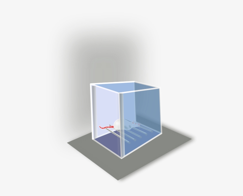 Conditioning Box Png Images 534 X - Clip Art, transparent png download