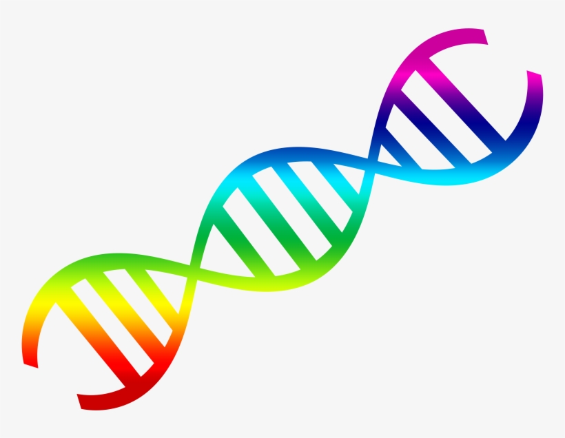 Pin Dna Clipart - Dna Png, transparent png download