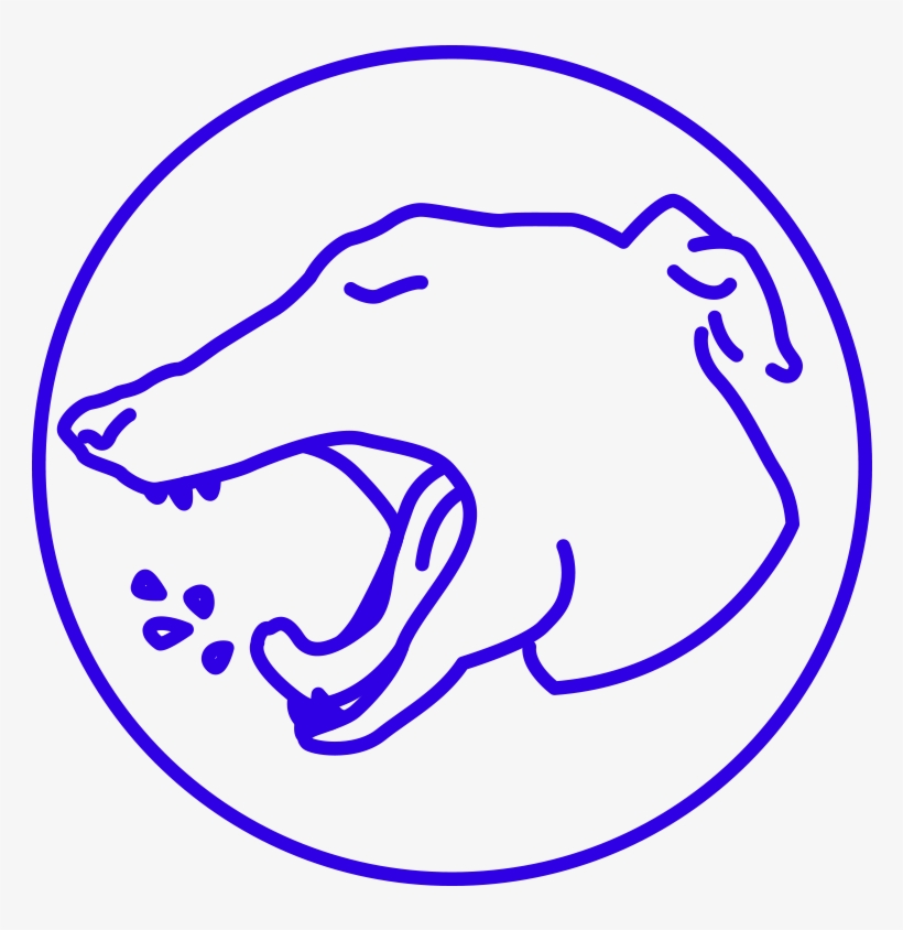 Bernardo Paz, transparent png download