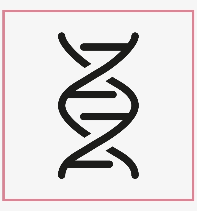 Brand Sound Dna, transparent png download