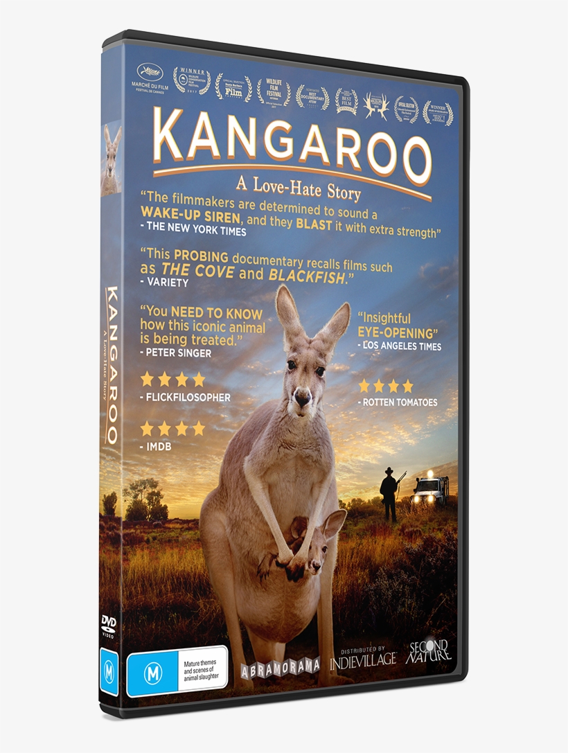 Dvd Pre-order - Film, transparent png download