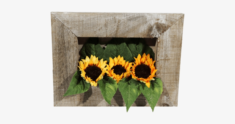 Silk Sunflower Frame • $24 - Silk, transparent png download