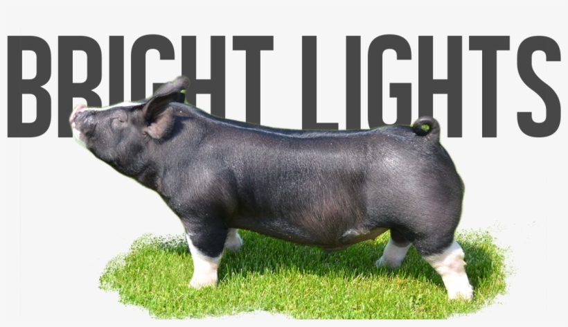 Fly By X Oak - Nutrition Facts Label, transparent png download