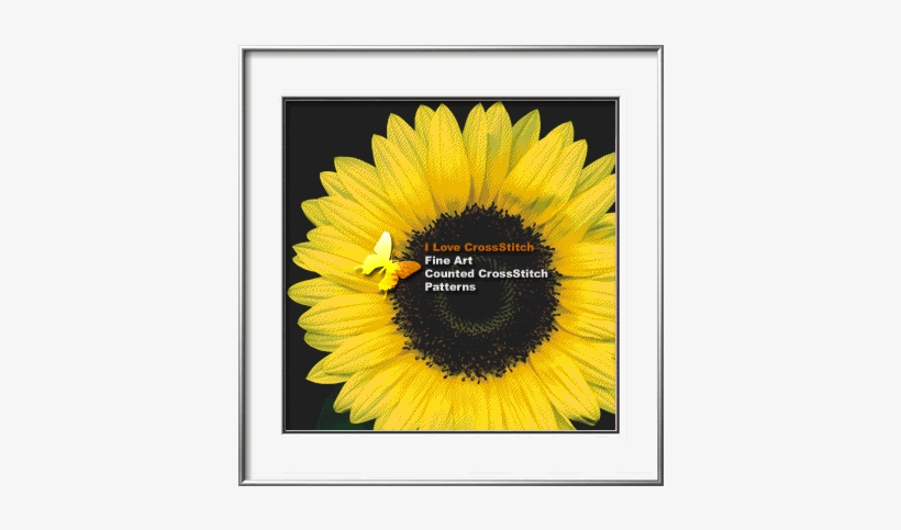 Prev - Sunflower Face, transparent png download
