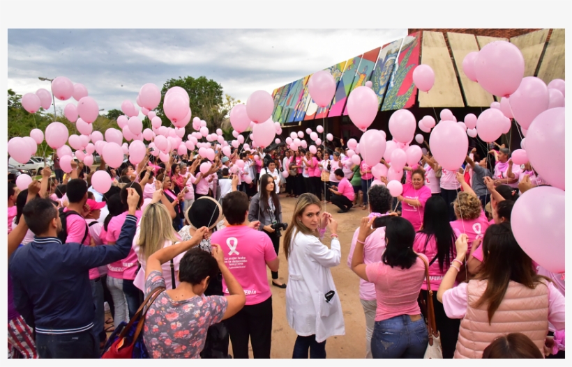 El Acto Se Realizó A Partir De Las - Crowd, transparent png download