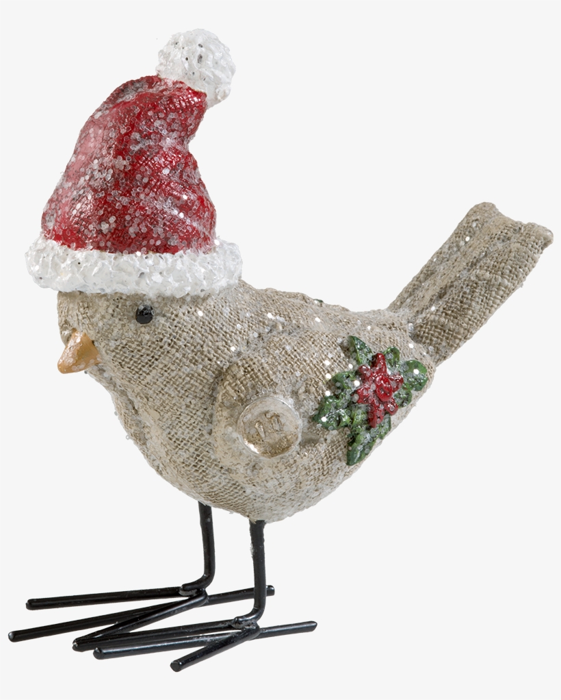 Bird With Christmas Cap - Christmas Day, transparent png download