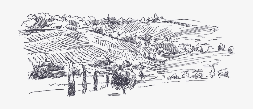 Moses Montefiore Purchased The First Land Outside The - Toskania Dla Początkujących [book], transparent png download