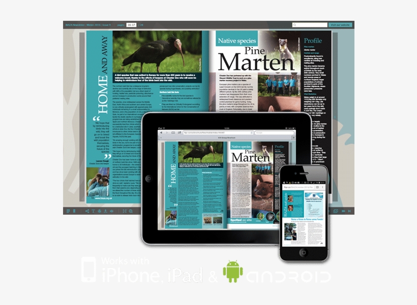 Some Examples From Our Page-turn Brochure Portfolio - E Brochure Flip, transparent png download