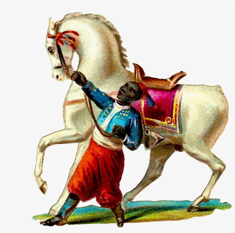 Lost Somewhere In Antiquity, This Poor Horse's Tail - Horse, transparent png download