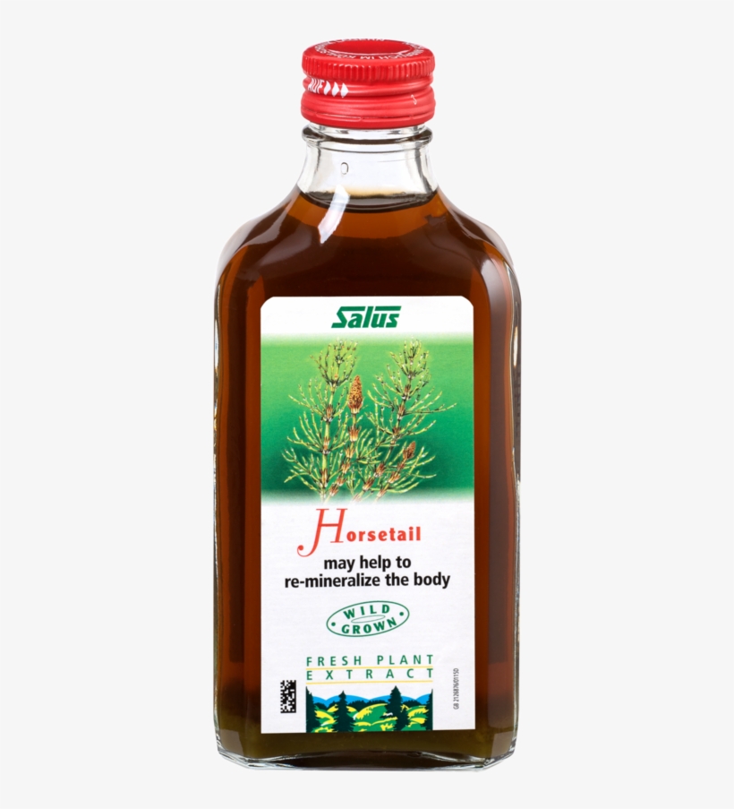 Salus Dandelion Juice - 200 Ml, transparent png download